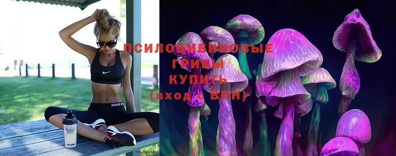 Галлюциногенные грибы MAGIC MUSHROOMS  наркота  Володарск 